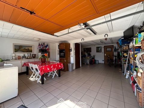 photo no. 11