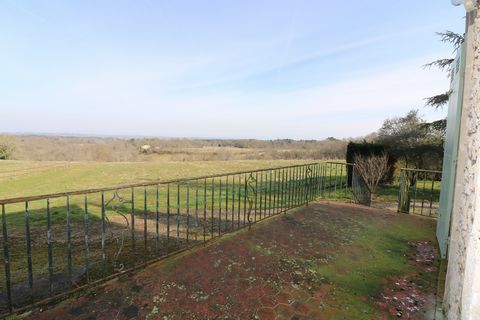 photo no. 17