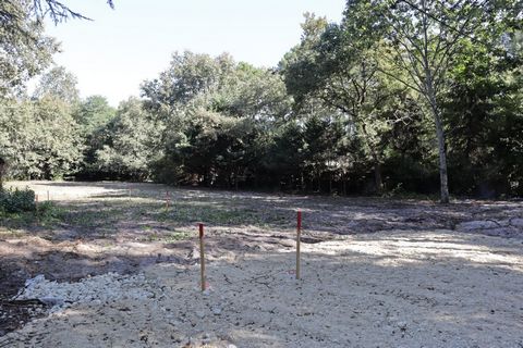 photo no. 1