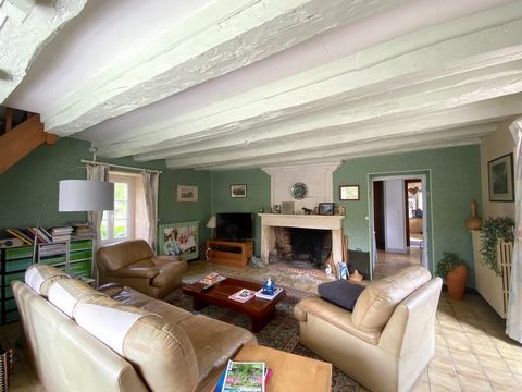 photo no. 6