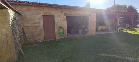 photo no. 11