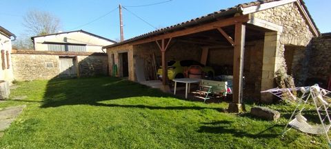 photo no. 12