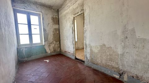 photo no. 5