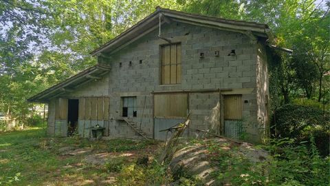 photo no. 12