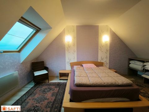 photo no. 17