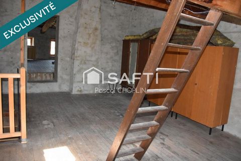 photo no. 12