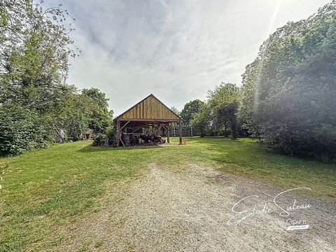photo no. 14