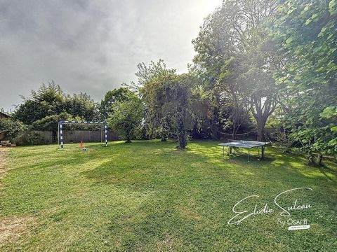 photo no. 15