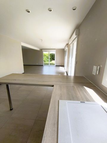photo no. 6