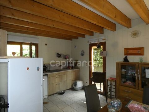 photo no. 2