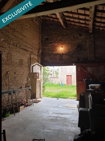 photo no. 8