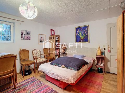 photo no. 7