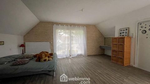 photo no. 12