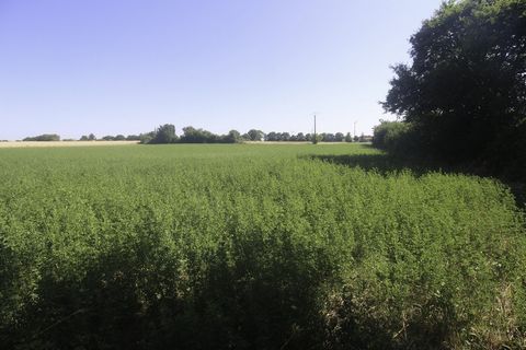 Terrain constructible près de Saint Jean d'Angely
