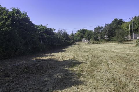photo no. 1