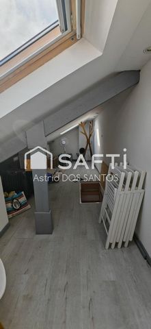 photo no. 17