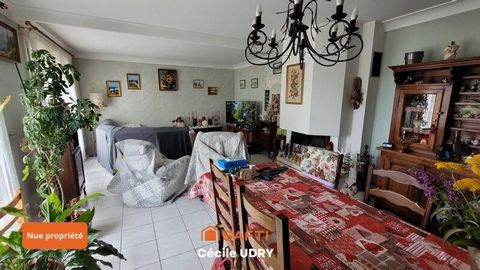 photo no. 2