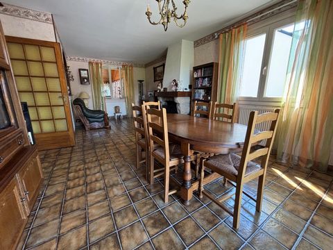 photo no. 12