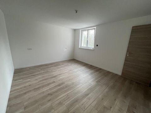 photo no. 11