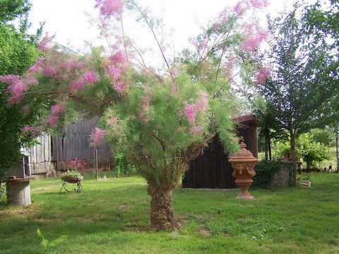 photo no. 34