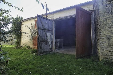 photo no. 9