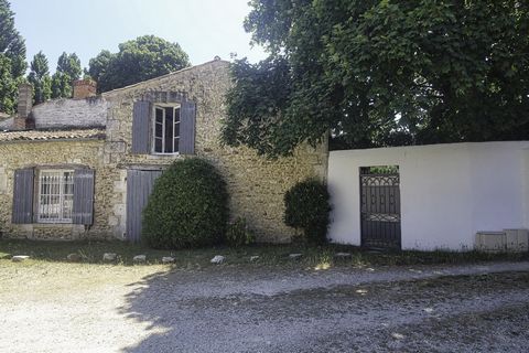 photo no. 16