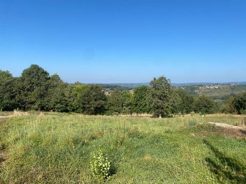 Calme, bois, vue.