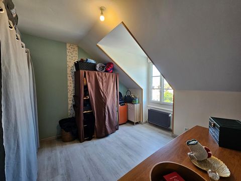 photo no. 6