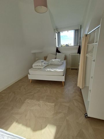 photo no. 11
