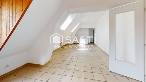 photo no. 13