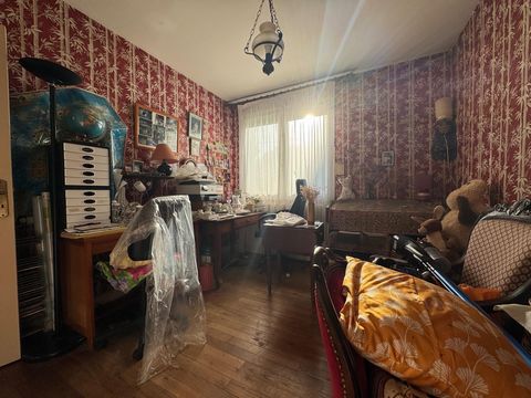 photo no. 11
