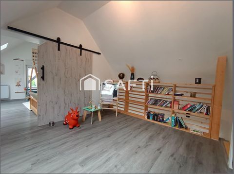 photo no. 8