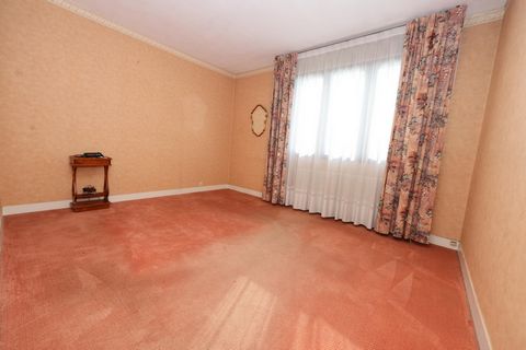 photo no. 7