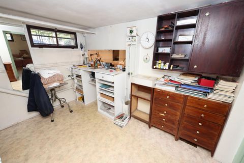 photo no. 11
