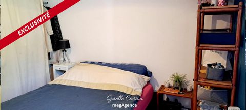 photo no. 10