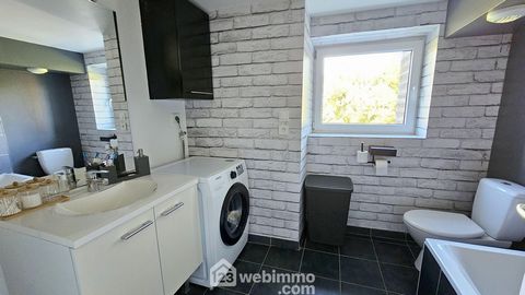 photo no. 6