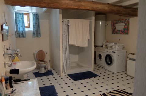 photo no. 12