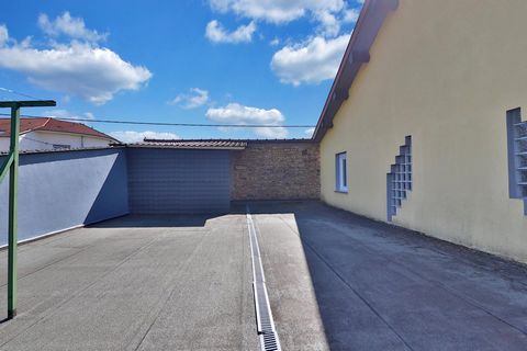photo no. 15