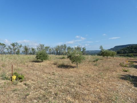 photo no. 4
