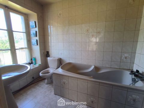 photo no. 11
