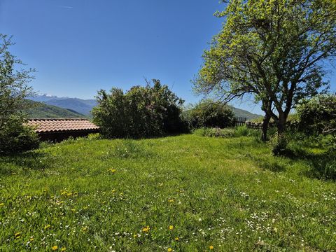 photo no. 5
