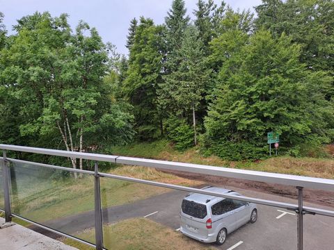 photo no. 4