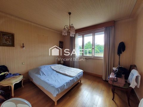 photo no. 11