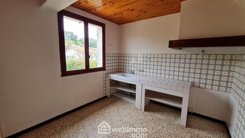 photo no. 11
