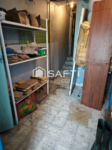 photo no. 9