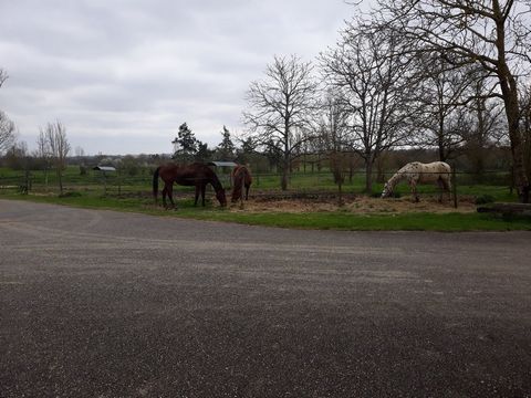 photo no. 23