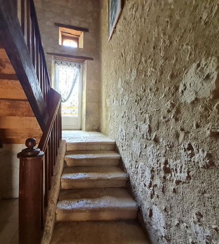 photo no. 13