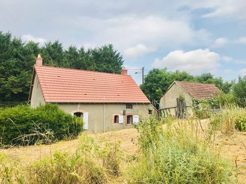 Maison à vendre - Longère à rénover à PRECY (18)