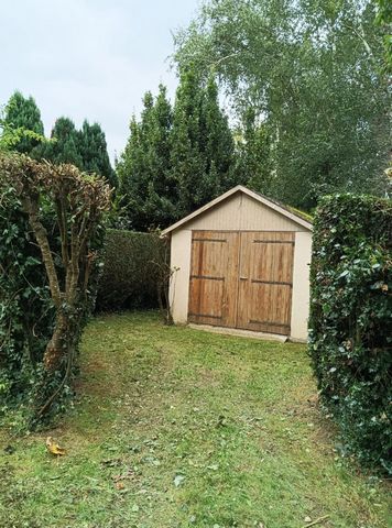photo no. 6