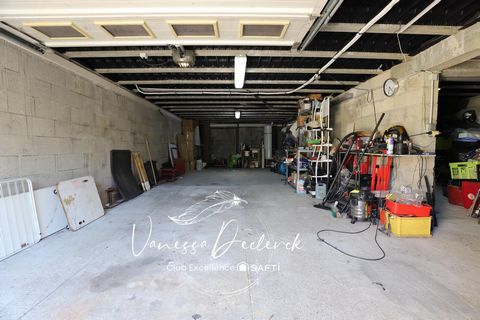 photo no. 14